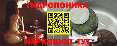 СК Канаш