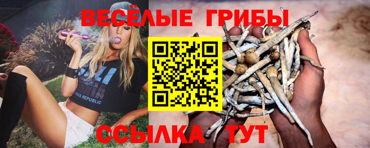 Псилоцибиновые грибы GOLDEN TEACHER Красный Сулин